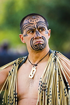 Traditional tattoos on face of Maori warrior