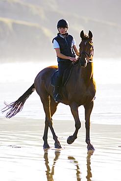 Young woman rides a bay horse on Broad Haven Beach, Pembrokeshire, Wales, United Kingdom