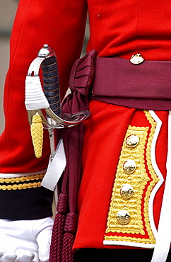 Guardsman in London, United Kingdom.