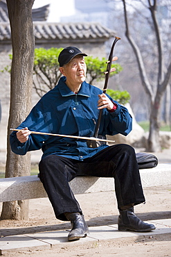 Man plays an Erhu instrument using a bow, in the park by the City Wall, Xian, China