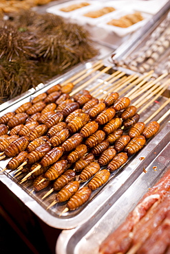 Deep fried silkworm skewers for sale in the Night Market, Wangfujing Street, Beijing, China