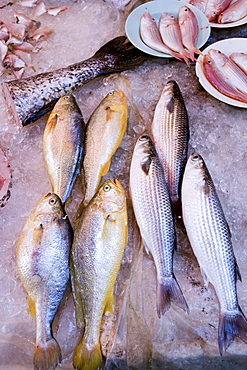 Fresh fish on sale in traditional old Chinese Soho food market in Graham Street, Central Hong Kong, China