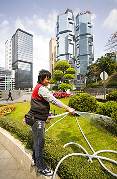 Gardener watering grass in the financial district by the Lippo Centre, Hong Kong, China