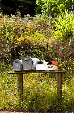 Row of mailboxes, North Island, New Zealand