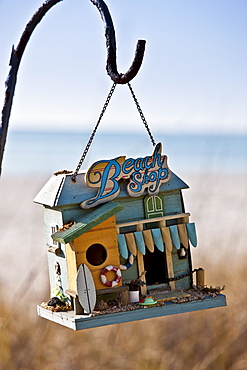 Hanging beach shop birdfeeder at beachfront holiday home, Anna Maria Island, Florida