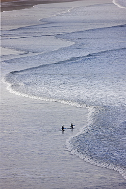 Surfers with surf boards approach waves breaking onto the beach at Woolacombe, North Devon, UK