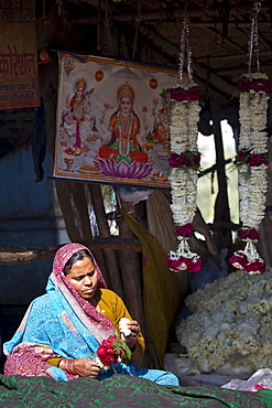 Indian woman at work stringing garlands at Mehrauli Flower Market, New Delhi, India