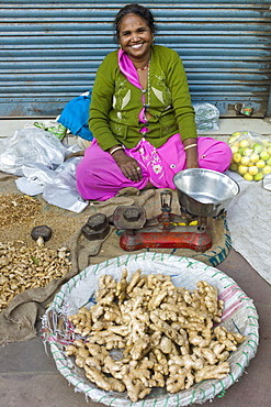 Old Delhi, Daryagang fruit and vegetable market - ginger on sale, India