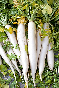 Old Delhi, Daryagang fruit and vegetable market  with radishes on sale, India