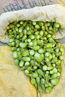 Old Delhi, Daryagang fruit and vegetable market with green aubergines on sale, India