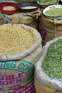 Coriander seeds and dried fenugreek leaves on sale at Khari Baoli spice and dried foods market, Old Delhi, India