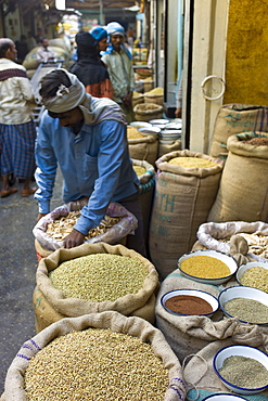 Stallholder with coriander seeds and dried mango skins on sale at Khari Baoli spice and dried foods market, Old Delhi, India