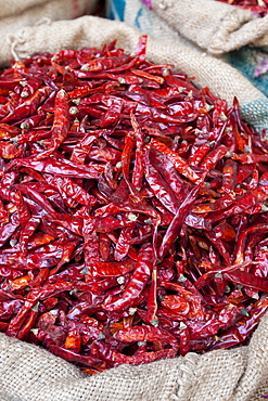 Red chillies on sale at Khari Baoli spice and dried foods market, Old Delhi, India