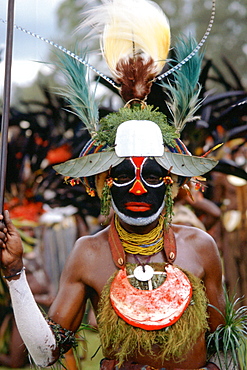 Man at a Sing Sing tribal gathering Papua New Guinea, South Pacific