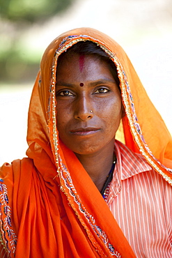 Indian woman villager at farm smallholding at Sawai Madhopur near Ranthambore in Rajasthan, Northern India