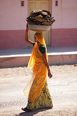 Indian woman in sari carrying cow dung pats to dry for cooking fuel at Khore village in Rajasthan, Northern India