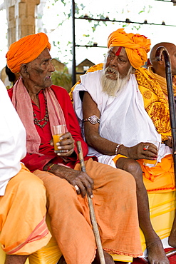 Hindu priests at Holi festival of 76th Maharana of Mewar, His Highness, Shriji Arvind Singh Mewar of Udaipur, at the City Palace, Rajasthan, India