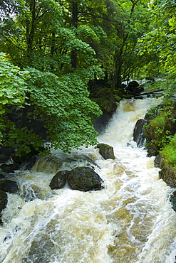 Launchy Gill waterfall by Thirlmere in the Lake District National Park, Cumbria, UK