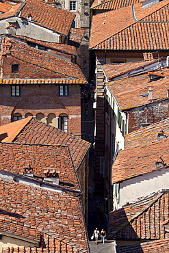 Rooftops and traditional architecture in Lucca, Italy