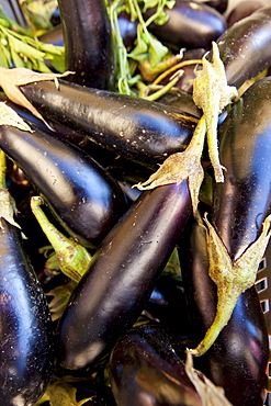 Freshly-picked aubergines, melanzane eggplants, on sale in food market in Pienza, Tuscany, Italy