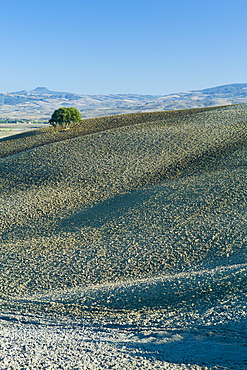 Undulating hills by San Quirico d'Orcia, in the Val D'Orcia area of Tuscany, Italy