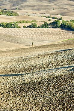 Undulating hills by San Quirico d'Orcia, in the Val D'Orcia area of Tuscany, Italy