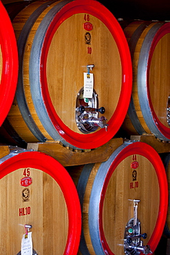 Brunello di Montalcino 2010 vintage wine stored in barrique barrels at the Palazzo wine estate in Val D'Orcia, Tuscany, Italy