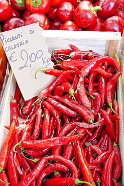 Red chillis,  Piccanti di Calabria, on sale at weekly street market in Panzano-in-Chianti, Tuscany, Italy