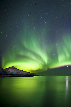 The Aurora Borealis spectacular Northern Lights and Venus star at Grotfjord, Kvaloya island, Tromso in the Arctic Circle, Northern Norway