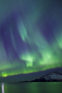 Aurora Borealis spectacular Northern Lights green and purple curtain effect and Venus star at Grotfjord, Kvaloya island, Tromso, Arctic Circle, Northern Norway