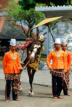 A decorated horse in  a parade at the Royal Palace in Jakarta, Indonesia