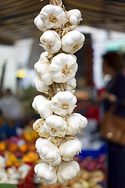 Garlic plait, Allium sativum, on sale in food market in Santander, Cantabria, Northern Spain