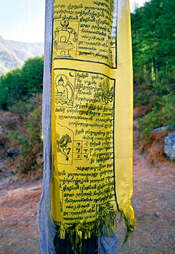 Buddhist prayer flag on mountain path to Tak Tsang Monastery, Bhutan