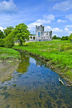 Tintern Abbey 12th Century, formerly a Cistercian Abbey, in County Wexford built by Earl of Pembroke in 1200, Ireland