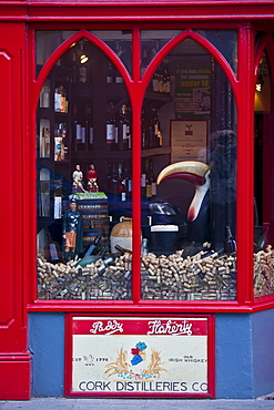 Toucan bird and display of corks in front window of Treacy's Bar in Youghal, County Cork, Ireland