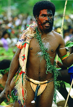 Bearded tribesman wearing war paints and feathered headdress during  a gathering of tribes at Mount Hagen in Papua New Guinea