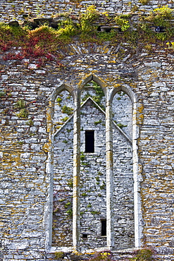 Ruins of a Franciscan friary built 13th and 17th Century, Timoleague, County Cork, Ireland