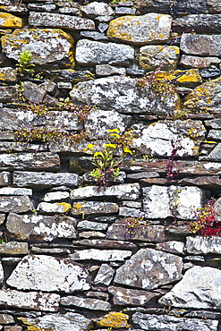 Dry stone wall of a Franciscan friary built 13th and 17th Century, Timoleague, County Cork, Ireland