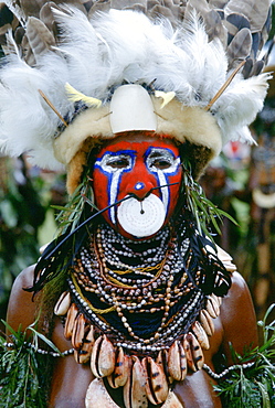 Tribesman wearing war paints and feathered headdress during  a gathering of tribes at Mount Hagen in Papua New Guinea