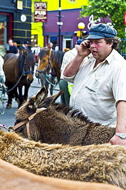 Horse fair in market square in Kilrush, Co. Clare, Ireland. Traditional for locals and travellers to trade horses and ponies