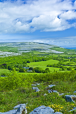 The Burren and Galway Bay from Corkscrew Hill, Cappanawalla left Finvarra Point right, County Clare, West of Ireland