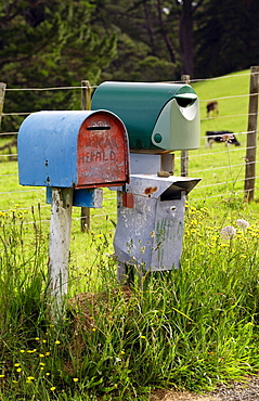 Pair of mailboxes, North Island, New Zealand