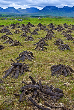 Stacked peat in turf bog on the Old Bog Road near Roundstone, Connemara, County Galway