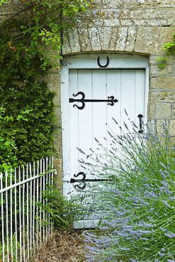 Lavender bush and traditional cottage entrance in the Cotswolds village of Bledington, Oxfordshire, UK