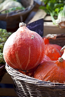 Pumpkin squash at food market in France