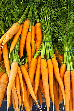 Freshly-picked carrots on sale at food market at La Reole in Bordeaux region of France