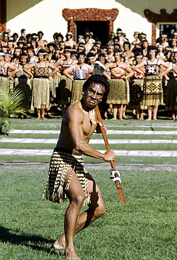 Maori warrior at a tribal gathering in New Zealand