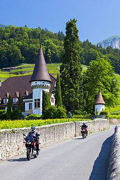 Wine estate, Chateau Maison Blanche, at Yvorne in the Chablais region, Vaud, Switzerland, Europe