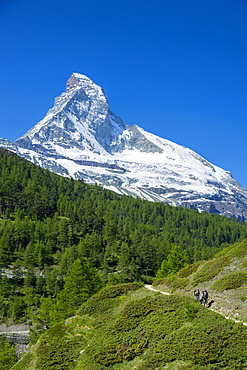 Hikers on walking trail below the Matterhorn mountain in the Swiss Alps near Zermatt, Valais, Switzerland, Europe