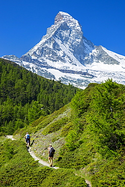 Hikers on walking trail below the Matterhorn mountain in the Swiss Alps near Zermatt, Valais, Switzerland, Europe